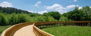Etowah River Park trails in Cherokee County (Canton)